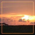 serengeti - 67 images