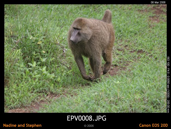 click to see the next image or wait 5 seconds for the next image to show up...