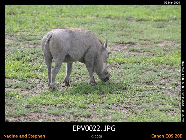 click to see the next image or wait 5 seconds for the next image to show up...