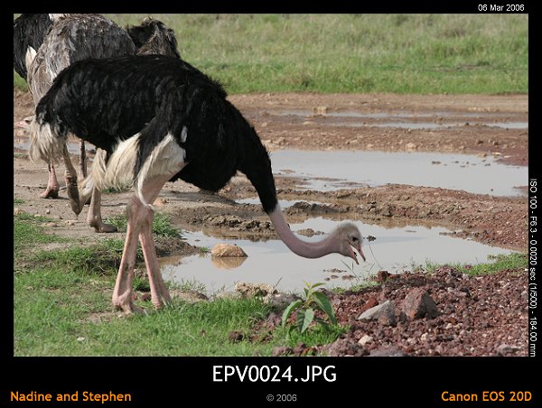 click to see the next image or wait 5 seconds for the next image to show up...