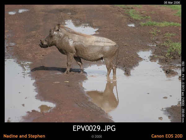 click to see the next image or wait 5 seconds for the next image to show up...