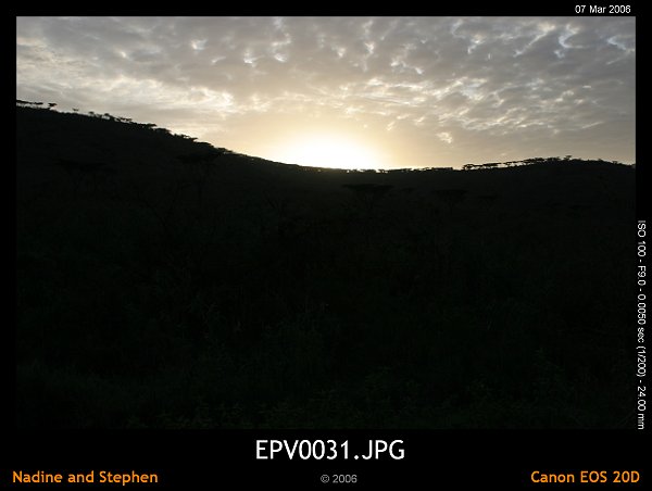 click to see the next image or wait 5 seconds for the next image to show up...