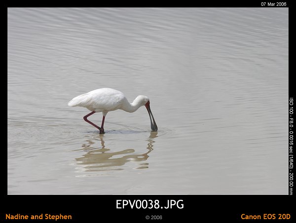 click to see the next image or wait 5 seconds for the next image to show up...