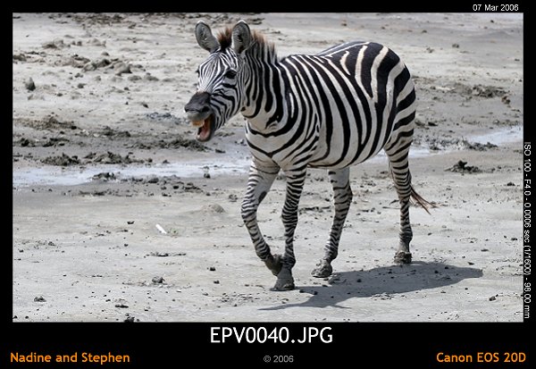 click to see the next image or wait 5 seconds for the next image to show up...
