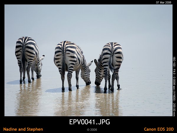 click to see the next image or wait 5 seconds for the next image to show up...