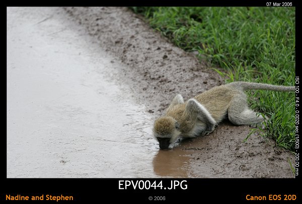 click to see the next image or wait 5 seconds for the next image to show up...