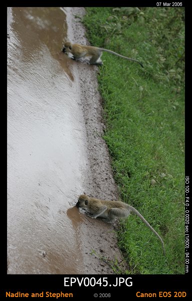 click to see the next image or wait 5 seconds for the next image to show up...