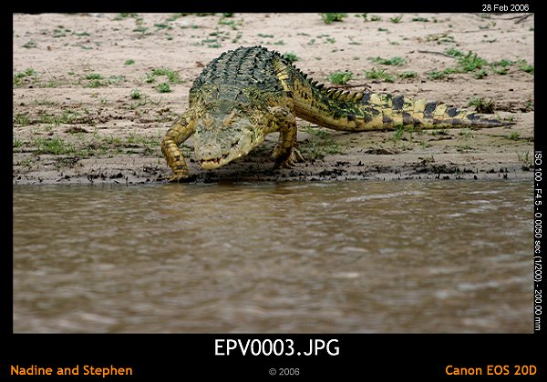 click to see the next image or wait 5 seconds for the next image to show up...
