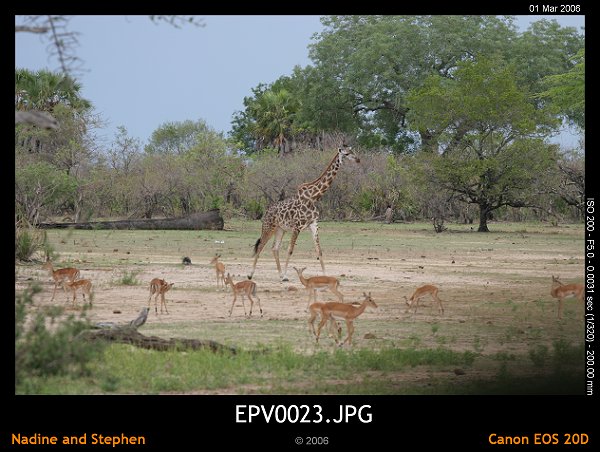 click to see the next image or wait 5 seconds for the next image to show up...