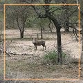 600x452 (119.5 KB)