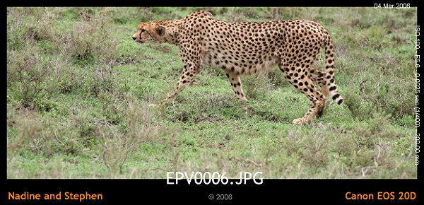 click to see the next image or wait 5 seconds for the next image to show up...