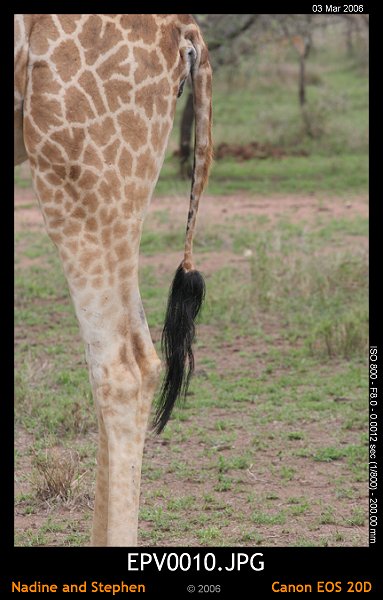 click to see the next image or wait 5 seconds for the next image to show up...