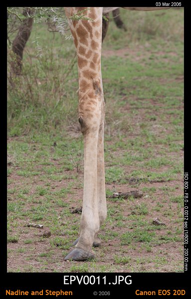 click to see the next image or wait 5 seconds for the next image to show up...