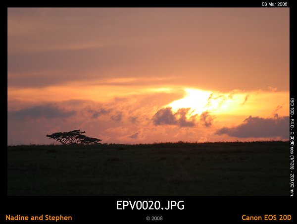 click to see the next image or wait 5 seconds for the next image to show up...