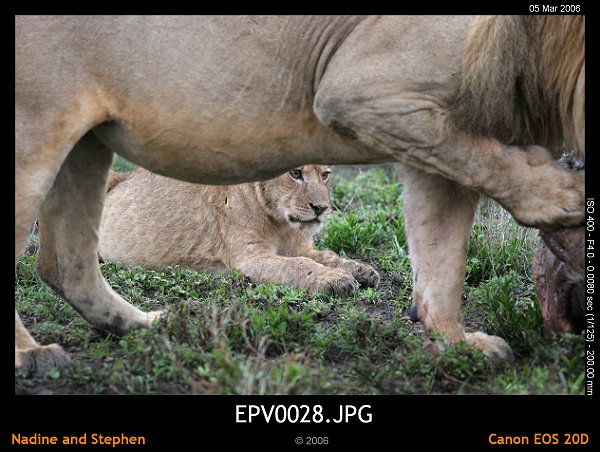 click to see the next image or wait 5 seconds for the next image to show up...