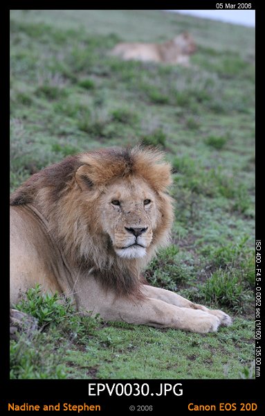 click to see the next image or wait 5 seconds for the next image to show up...