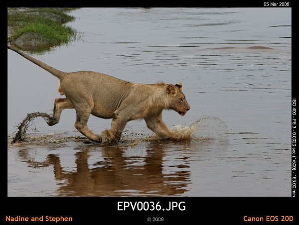 click to see the next image or wait 5 seconds for the next image to show up...