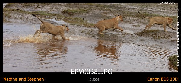 click to see the next image or wait 5 seconds for the next image to show up...