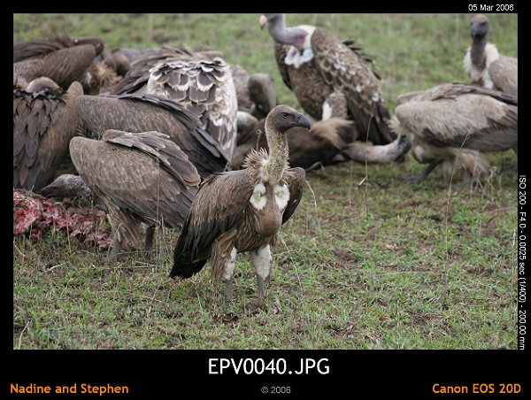 click to see the next image or wait 5 seconds for the next image to show up...
