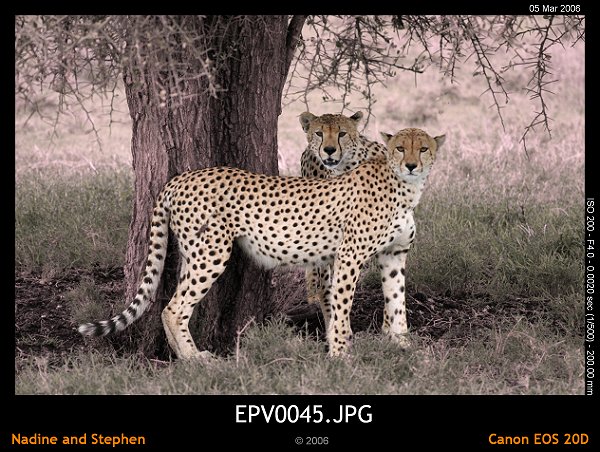 click to see the next image or wait 5 seconds for the next image to show up...