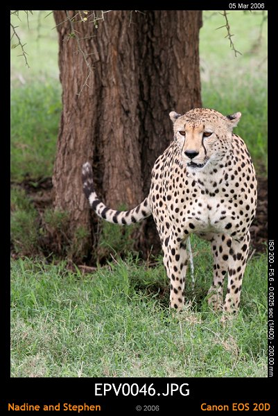 click to see the next image or wait 5 seconds for the next image to show up...