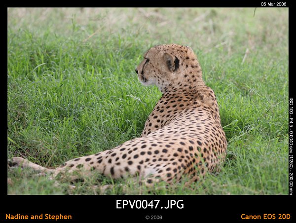 click to see the next image or wait 5 seconds for the next image to show up...