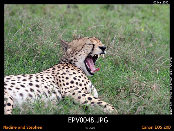 click to see the next image or wait 5 seconds for the next image to show up...