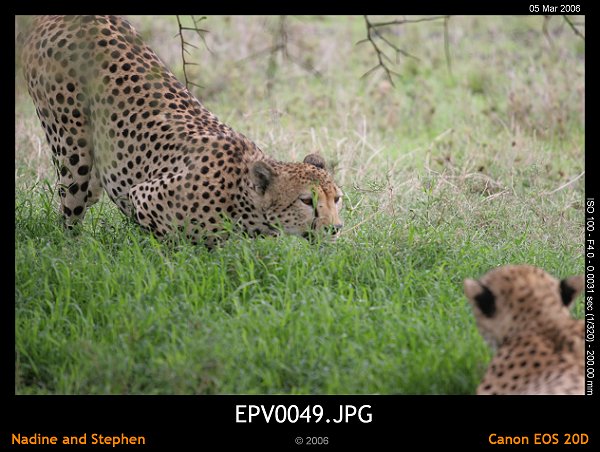 click to see the next image or wait 5 seconds for the next image to show up...