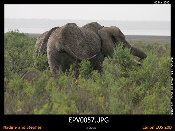 click to see the next image or wait 5 seconds for the next image to show up...