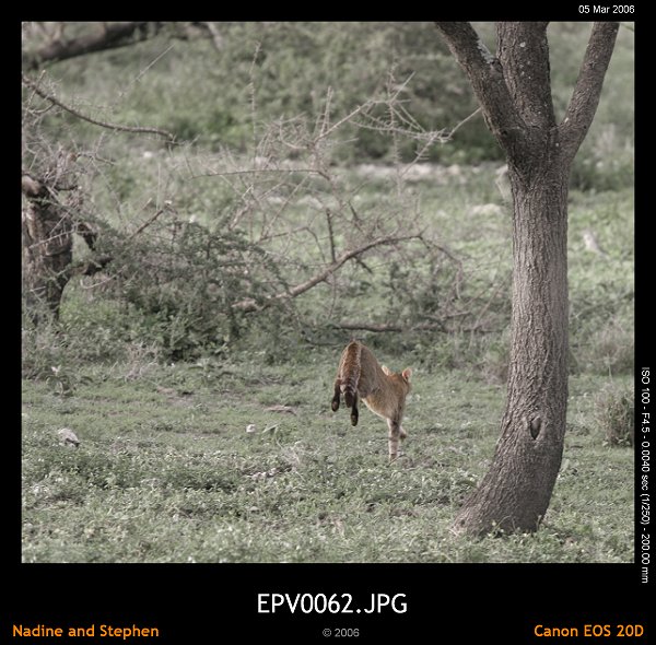 click to see the next image or wait 5 seconds for the next image to show up...