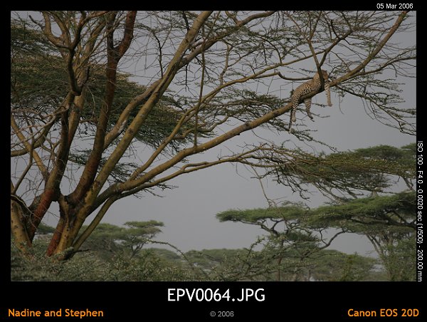 click to see the next image or wait 5 seconds for the next image to show up...