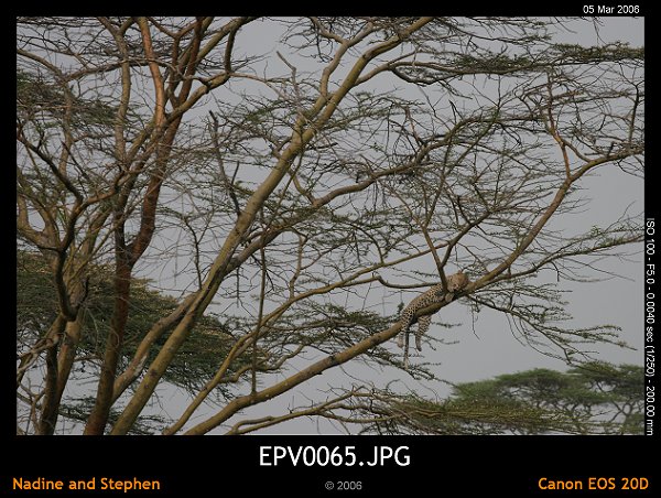 click to see the next image or wait 5 seconds for the next image to show up...