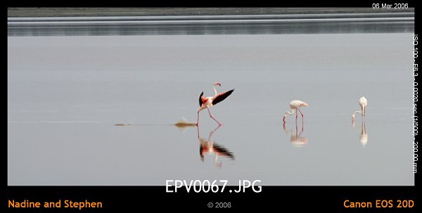 click to see the next image or wait 5 seconds for the next image to show up...