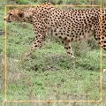 600x290 (74.3 KB)