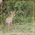 600x452 (127.7 KB)