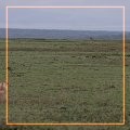600x452 (63.4 KB)