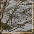 600x452 (122.8 KB)