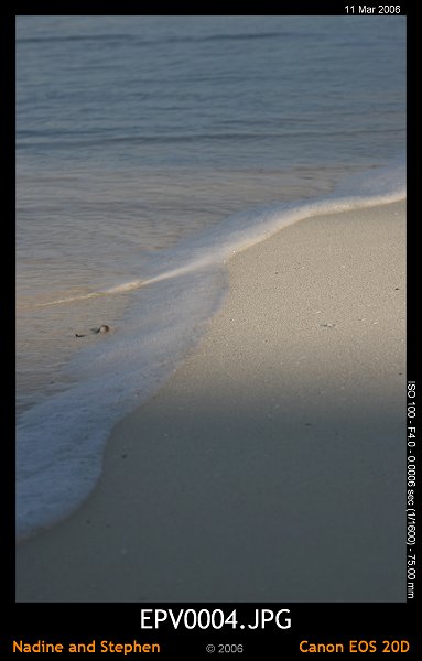 click to see the next image or wait 5 seconds for the next image to show up...