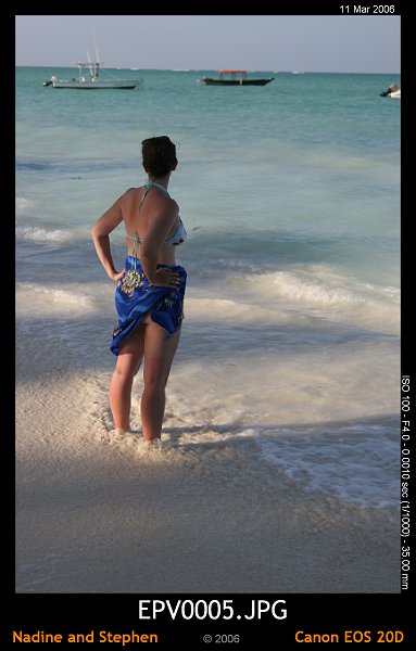 click to see the next image or wait 5 seconds for the next image to show up...