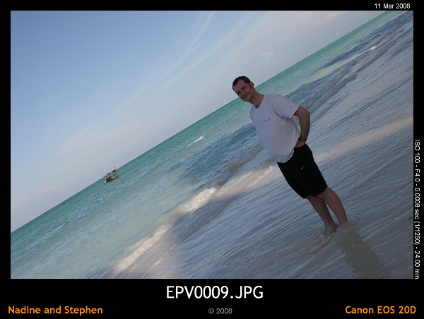 click to see the next image or wait 5 seconds for the next image to show up...