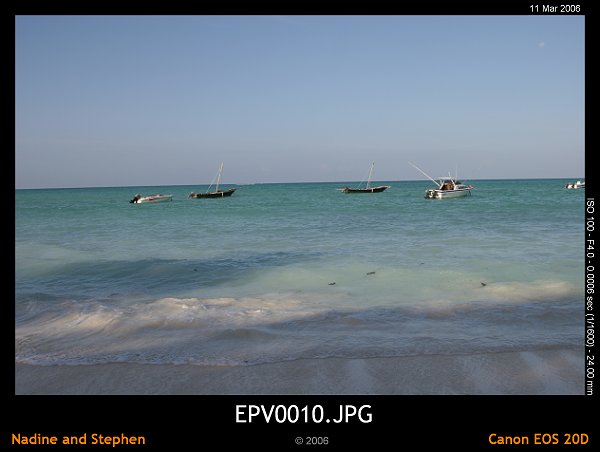 click to see the next image or wait 5 seconds for the next image to show up...