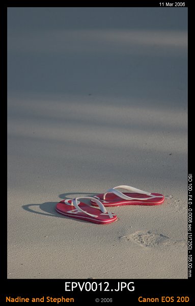 click to see the next image or wait 5 seconds for the next image to show up...