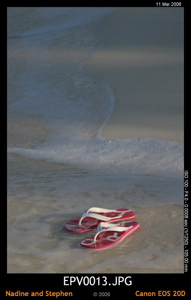 click to see the next image or wait 5 seconds for the next image to show up...