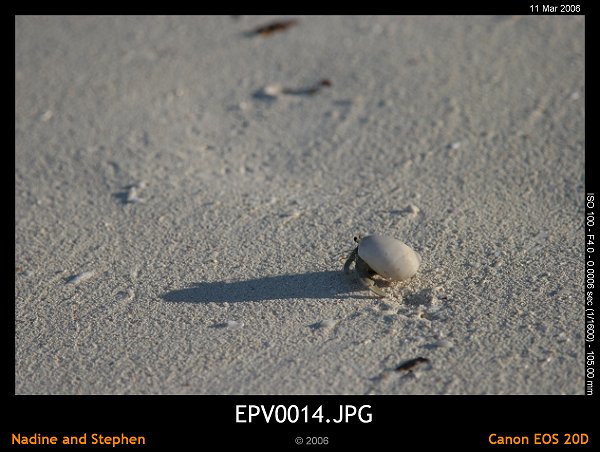 click to see the next image or wait 5 seconds for the next image to show up...