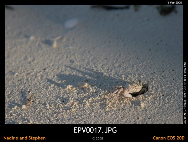 click to see the next image or wait 5 seconds for the next image to show up...