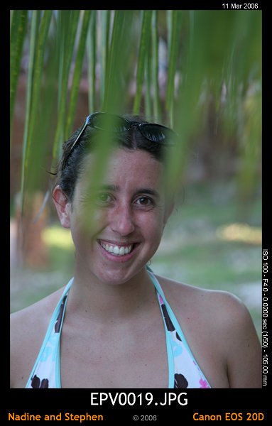 click to see the next image or wait 5 seconds for the next image to show up...