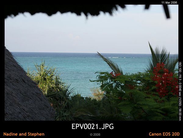 click to see the next image or wait 5 seconds for the next image to show up...