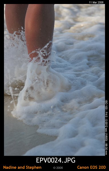 click to see the next image or wait 5 seconds for the next image to show up...