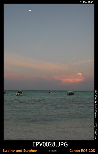 click to see the next image or wait 5 seconds for the next image to show up...