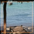 383x600 (71.2 KB)